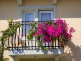 Standard Single room with balcony