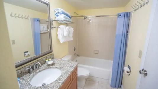Blue Tree Resort at Lake Buena Vista - 84