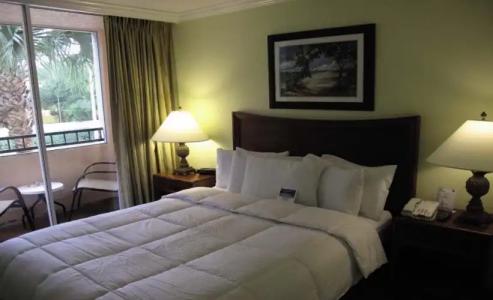 Blue Tree Resort at Lake Buena Vista - 5