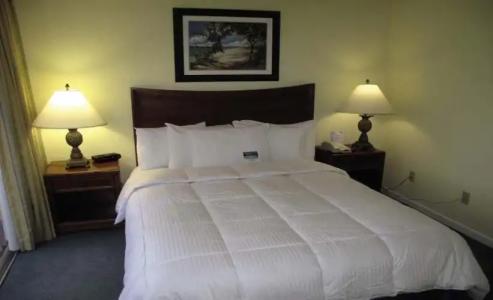 Blue Tree Resort at Lake Buena Vista - 4