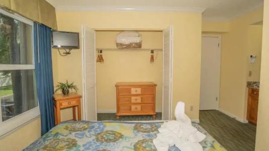 Blue Tree Resort at Lake Buena Vista - 64