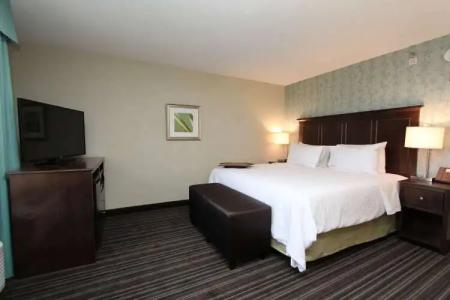 Hampton Inn & Suites by Hilton St. John's Airport - 4