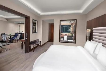 DoubleTree by Hilton Istanbul Esentepe - 24