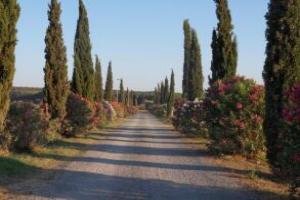 Fattoria La Steccaia, Riparbella