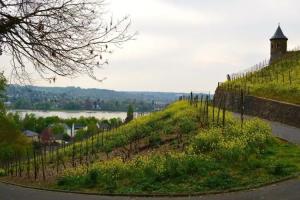 Hotel Weinhaus Hoff, Bad Honnef