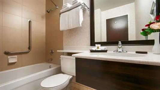 BEST WESTERN PLUS Carlton Plaza - 9