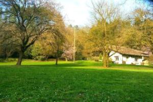 La Cucina B&B and cookery school, Rignano sull'Arno