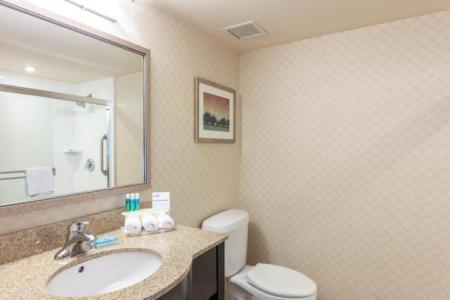 Holiday Inn Express & Suites Riverport Richmond, an IHG - 121