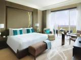 Executive Mangroves Suite