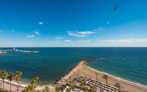 Amare Beach Marbella - Adults Only - 35