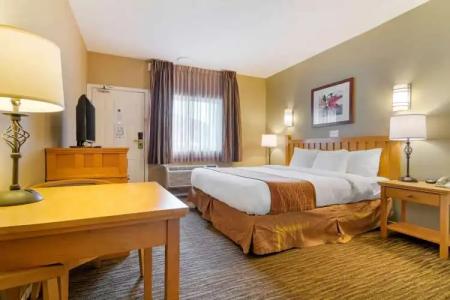 Econo Lodge Inn & Suites - North Vancouver - 29