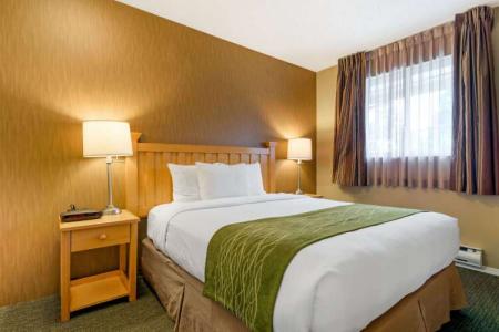 Econo Lodge Inn & Suites - North Vancouver - 4