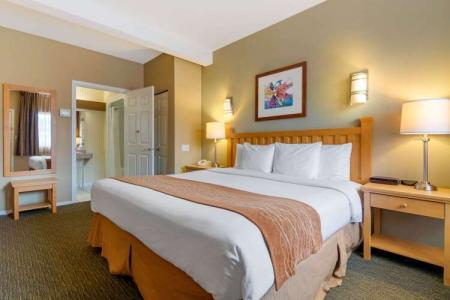 Econo Lodge Inn & Suites - North Vancouver - 6