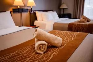 Comfort Inn & Suites Mont-Tremblant, Mont Tremblant