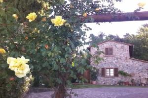 Bed & Breakfast «Casa della Madonna», Montaione