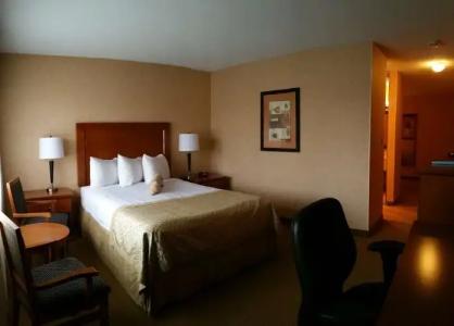 Best Western PLUS Langley Inn - 131