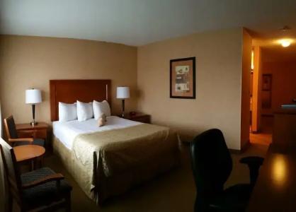 Best Western PLUS Langley Inn - 133