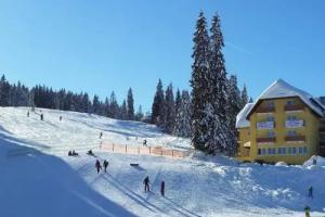 Burg Hotel Feldberg, Feldberg