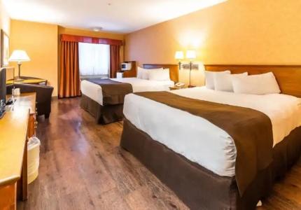 Canmore Inn & Suites - 116