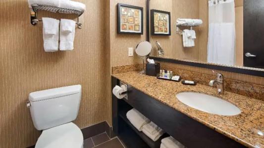 Best Western Premier Freeport Inn Calgary Airport - 67