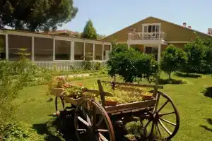 Berg Hotel, Dalyan