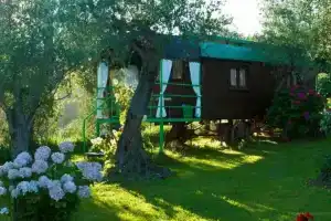 Azienda agricola Della Mezzaluna, Corsanico-Bargecchia