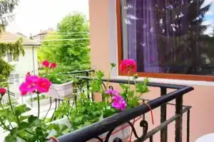 CASA DIVNA, Velingrad