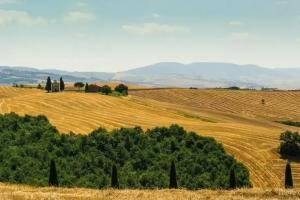 Agriturismo La Disperata, San Quirico d'Orcia