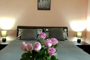 B&B Le Palme, Cassino