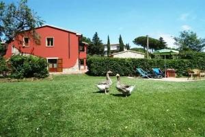 Farm Stay «Aria Toscana», Campiglia Marittima