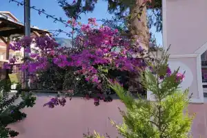 Hotel NilSu, Oludeniz