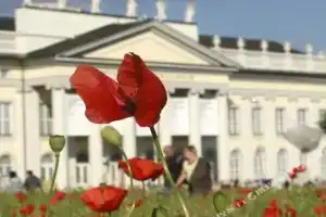 Hotel am Herkules, Kassel