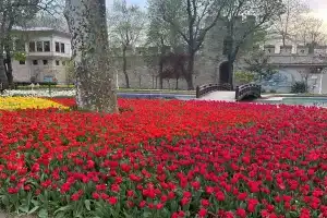 Reyyan Hotel, Istanbul