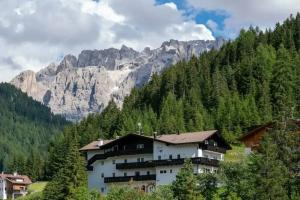 Selva di Val Gardena - Hotels