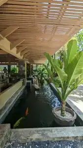 Phuket Island View Resort - SHA Extra Plus - 55