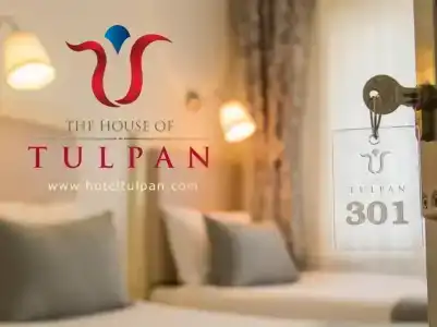 The House of Tulpan - 30
