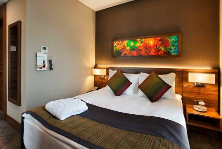 Holiday Inn Istanbul - Kadikoy, an IHG - 86
