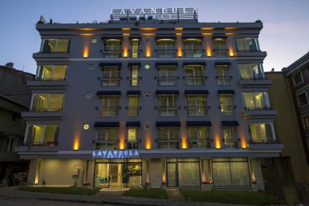 Levent Lavandula - 12