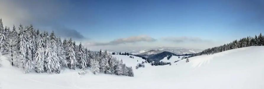 Vier Jahreszeiten am Schluchsee - 47