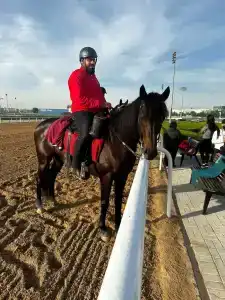 The Meydan Dubai - 28