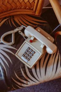 Royal Grove Waikiki - 13