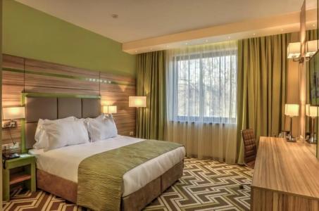 Holiday Inn Plovdiv, an IHG - 82