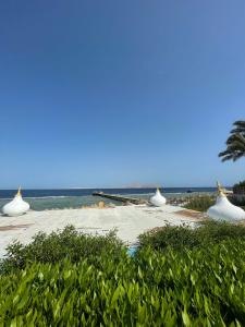 Rehana Royal Beach Resort - Aquapark & Spa - Family & Couples Only - 53