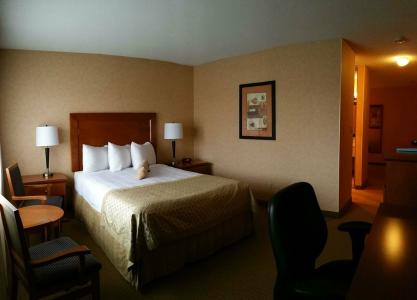 Best Western PLUS Langley Inn - 28