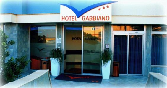 Gabbiano - 3