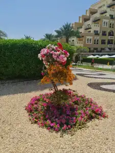 Rixos Bab Al Bahr - 18