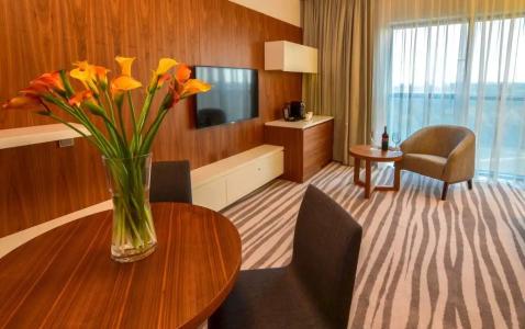 DoubleTree by Hilton Lodz - 69