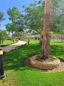 Hurghada Long Beach Resort - 65