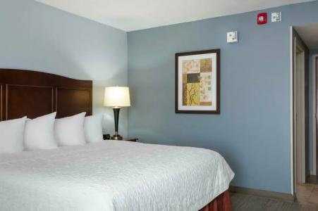 Hampton Inn Denver-International Airport - 34