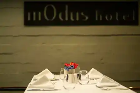 mOdus - 48